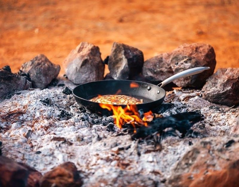 iron flame epub download pdf