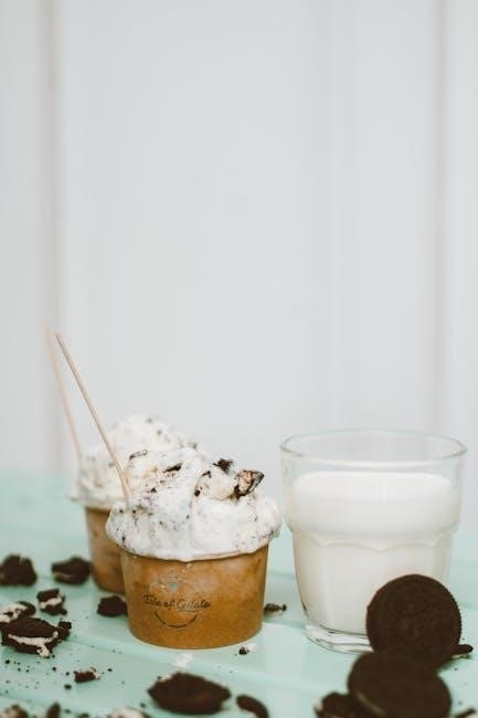 rival ice cream maker manual