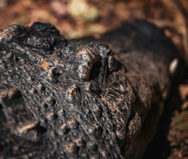 na just for today book pdf free download